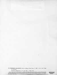 Lophodermium gramineum image